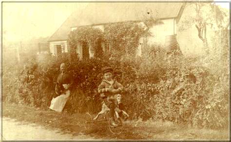 Image01