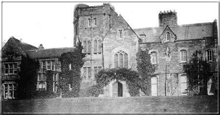 Image02