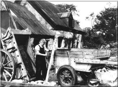 Image06