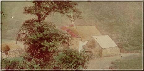 Image01