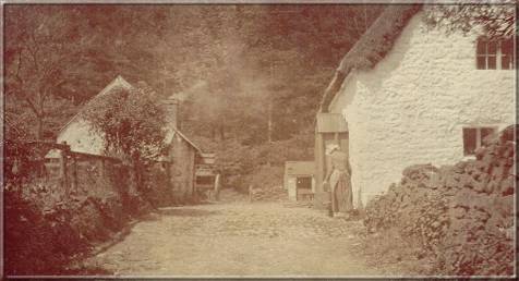 Image02
