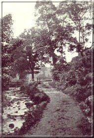 Image06