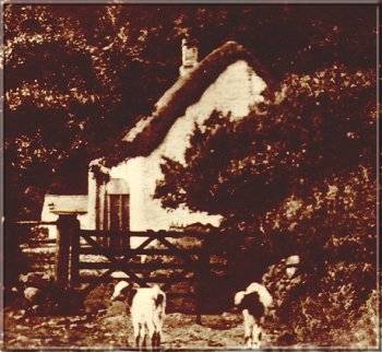 Image07