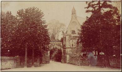 Image07
