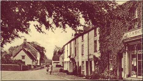 Image15