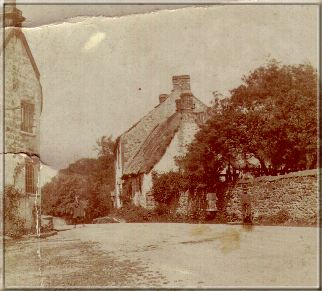 Image16