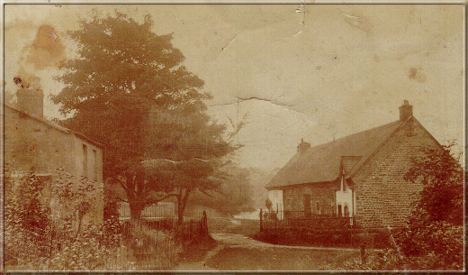 Image19