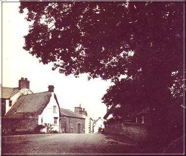 Image27