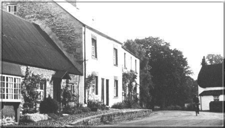 Image31