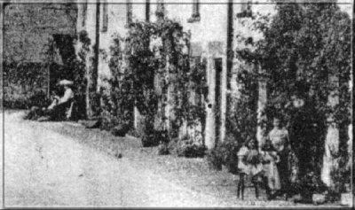 Image38
