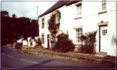 Image01