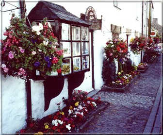 Image02