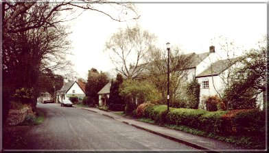 Image03