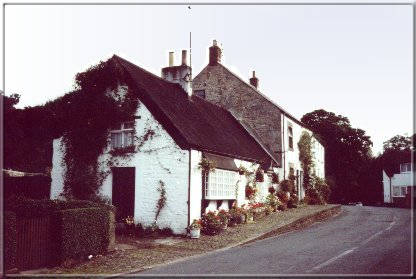 Image07