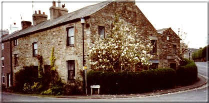 Image08