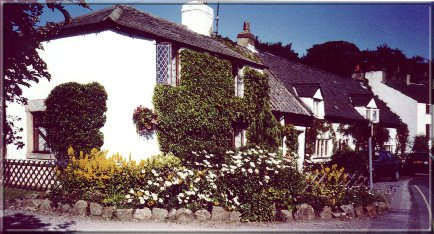 Image09