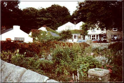 Image14