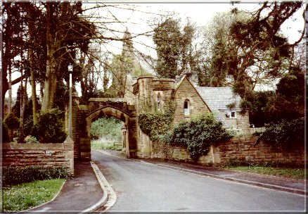 Image15