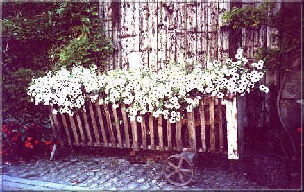 Image17