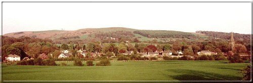 Image20