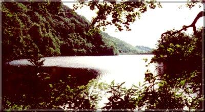 Image24