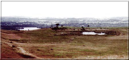 Image25